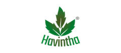 Havintha