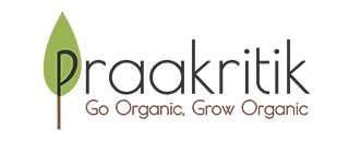 Praakritik
