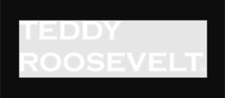Teddy Roosevelt