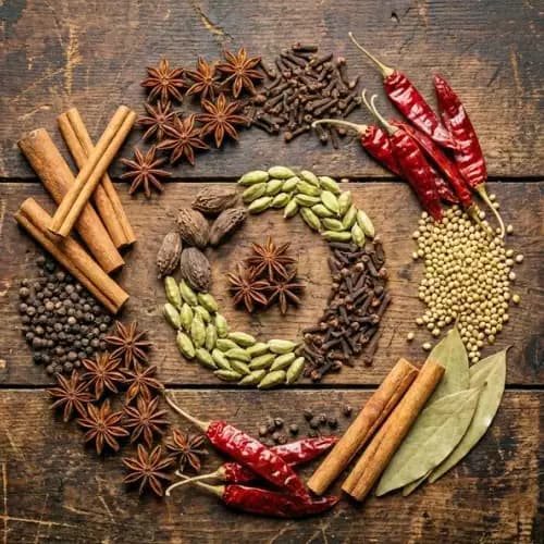 Premium Indian spices and masalas - turmeric, cardamom, cumin and authentic regional blends