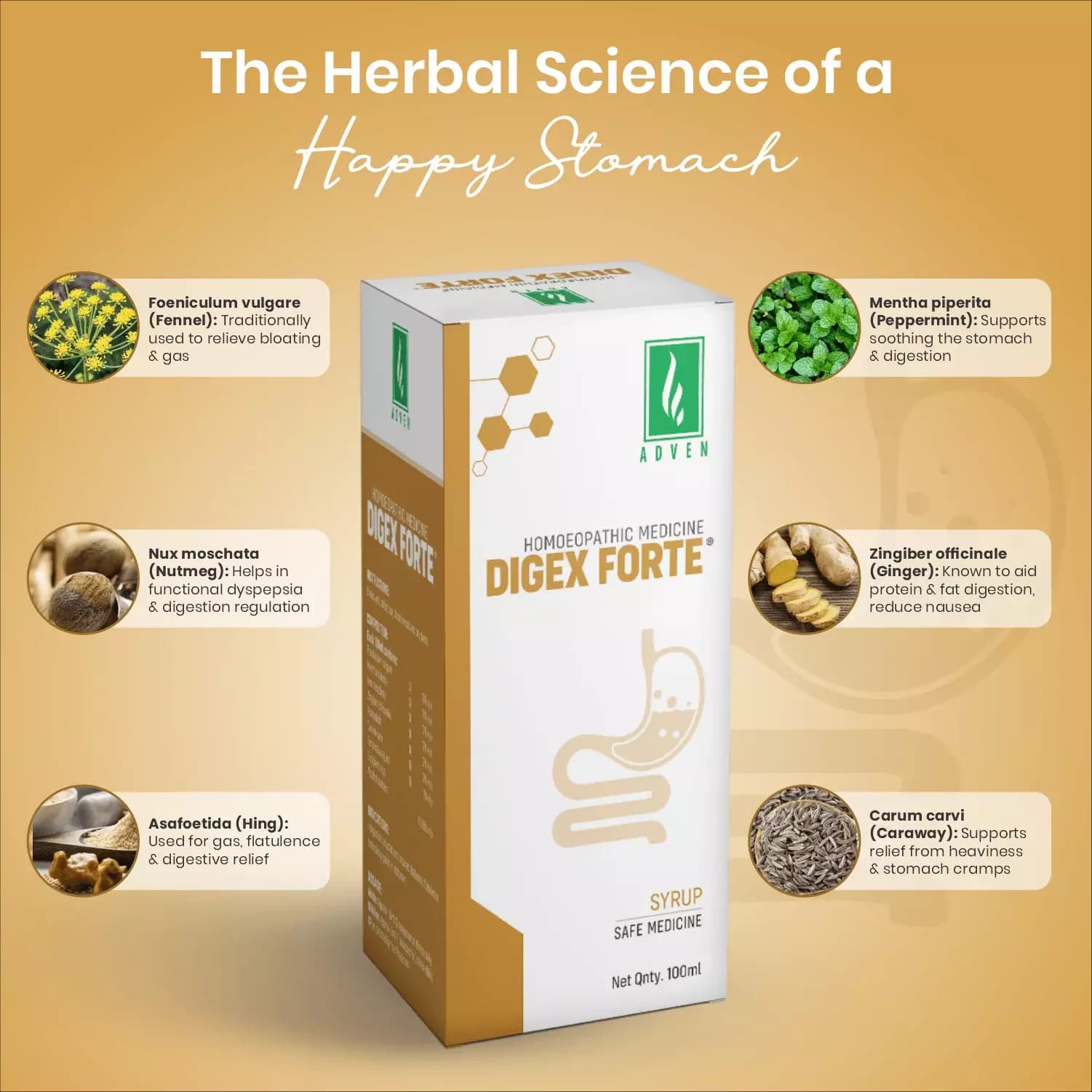 Digex Forte Syrup-Ingredients