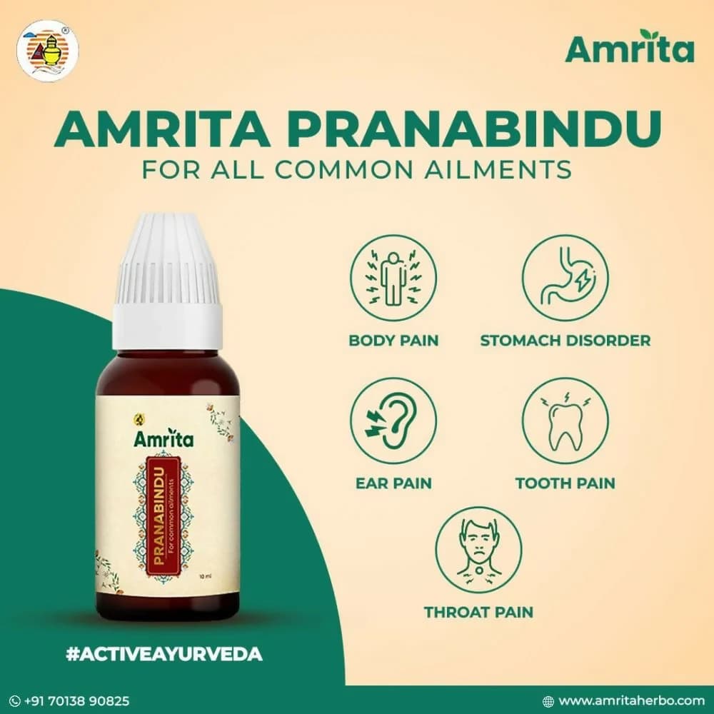 Amrita Pranabindu 10 ml drops Common Aliments