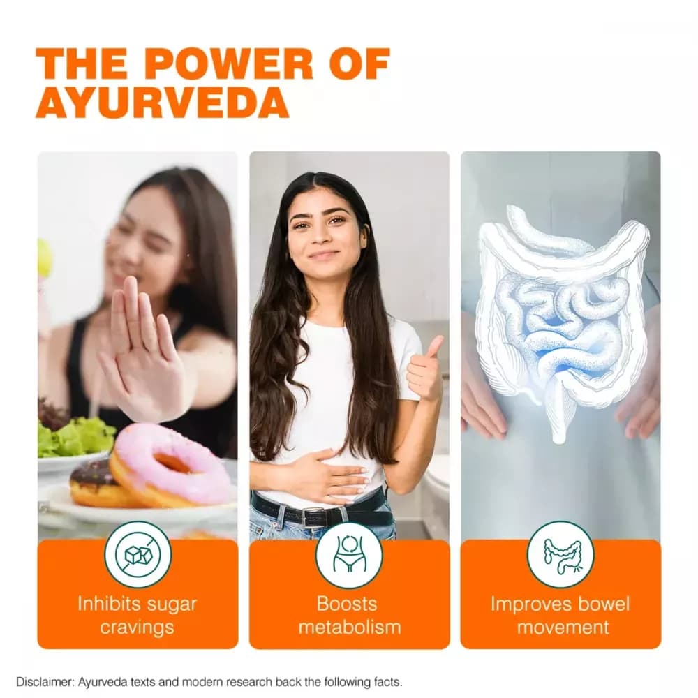 Himalaya AyurSlim Capsule benefits