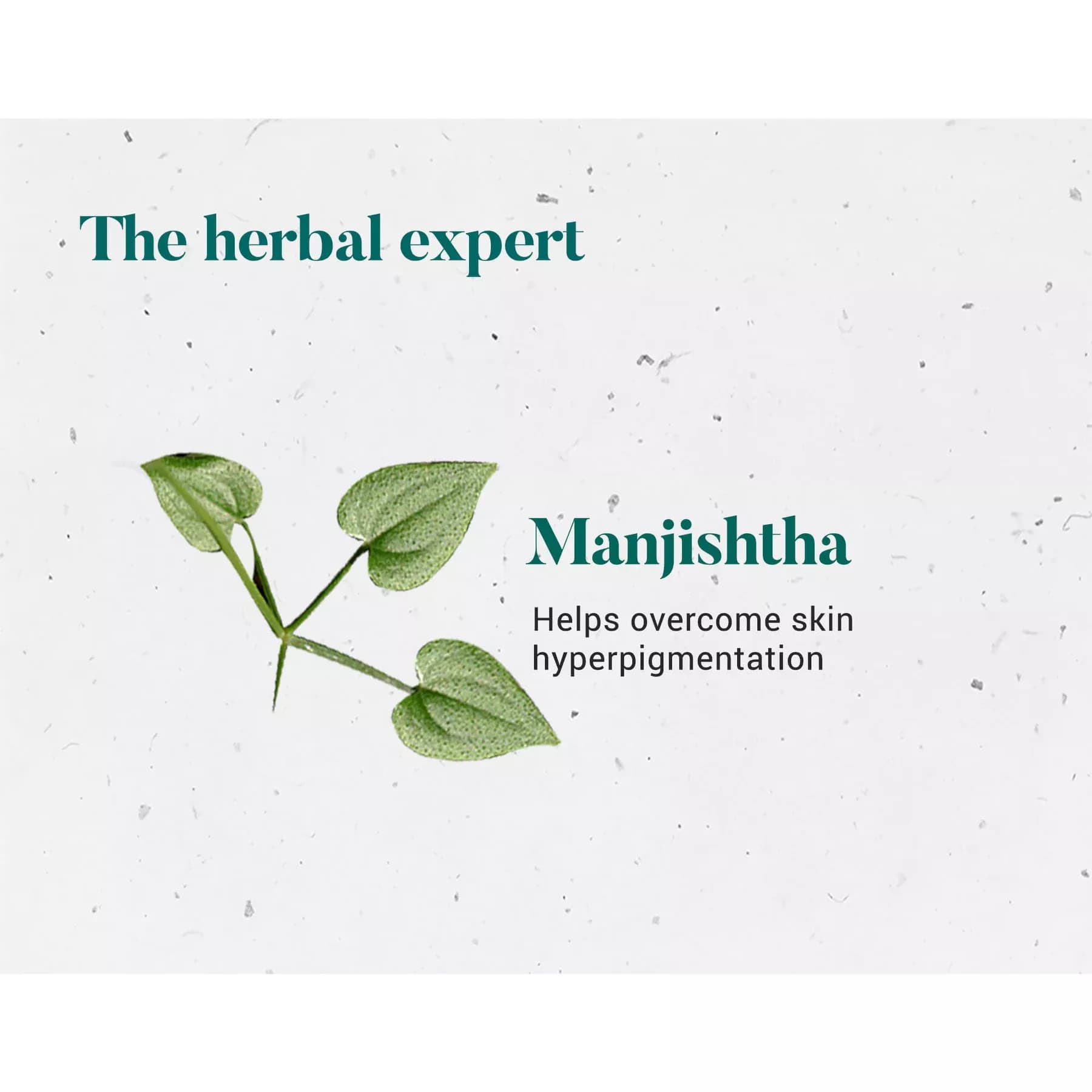 Himalaya Manjishta Tablet ingredients