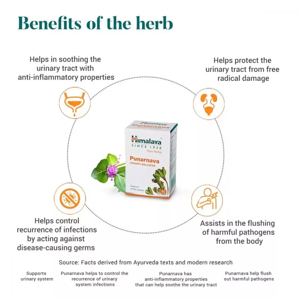 Himalaya Punarnava Tablet benefits