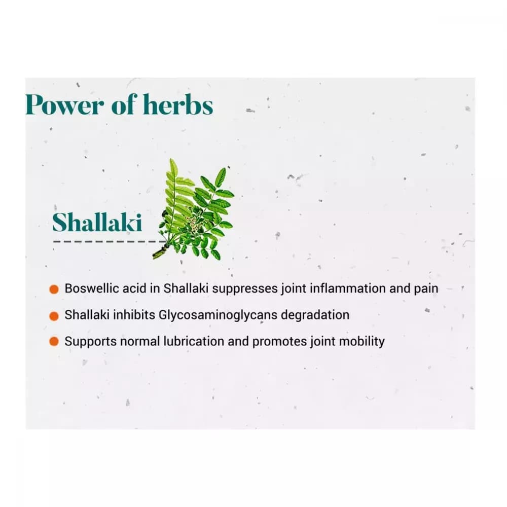 Himalaya Shallaki Tablet power of herbs
