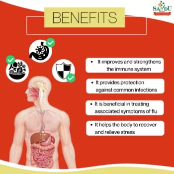 Sandu MSK Plus Benefits