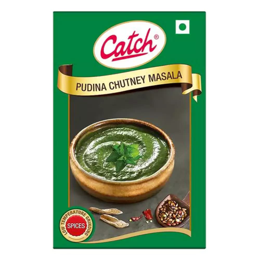 100 G Carton Catch Pudina Chutney Masala Enhances Flavour ShopIndianProductsa