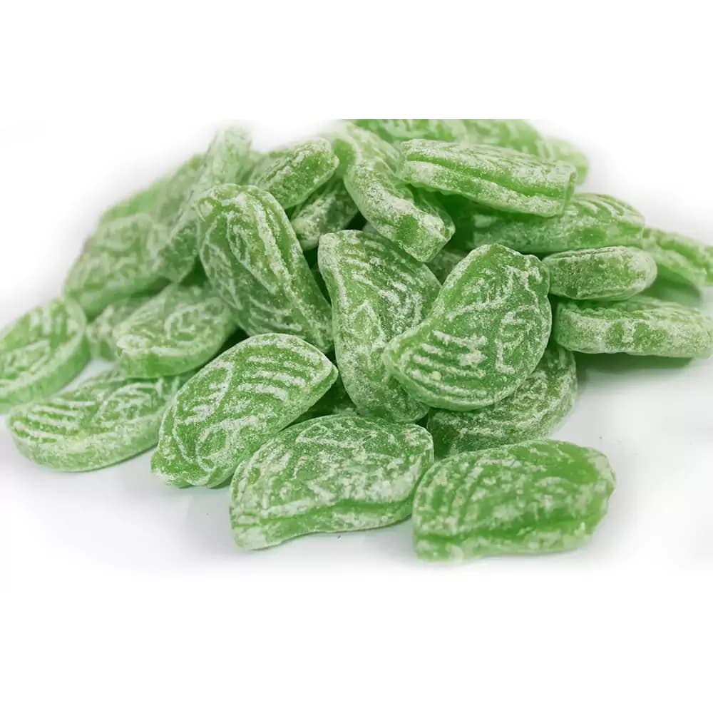 Surbhi Kerry Candy — 3