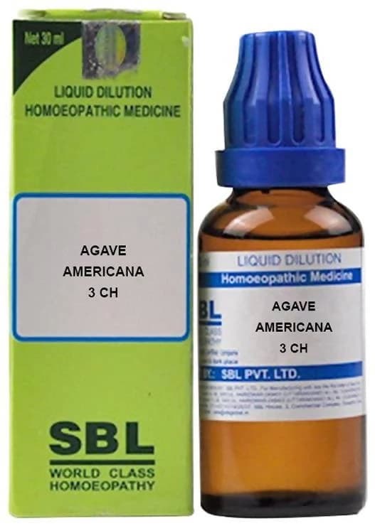 SBL Agave Americana Dilution — 3 CH / 30 ml