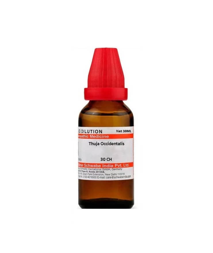 Dr. Willmar Schwabe India Thuja Occidentalis Dilution — 30 ml / 30 CH
