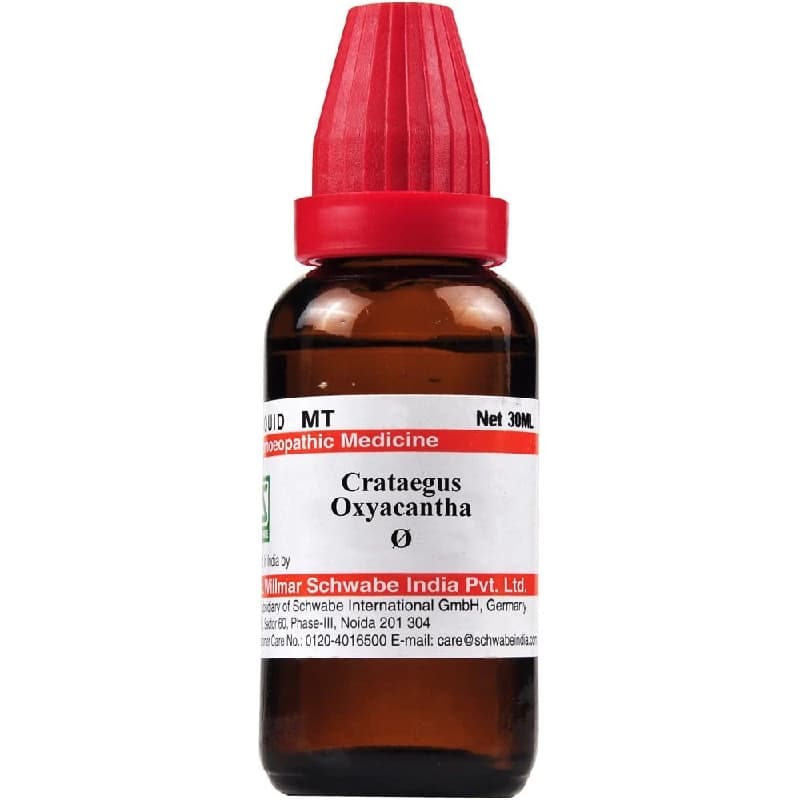 Dr. Willmar Schwabe India Crataegus Oxyacantha Mother Tincture Q — 30 ml