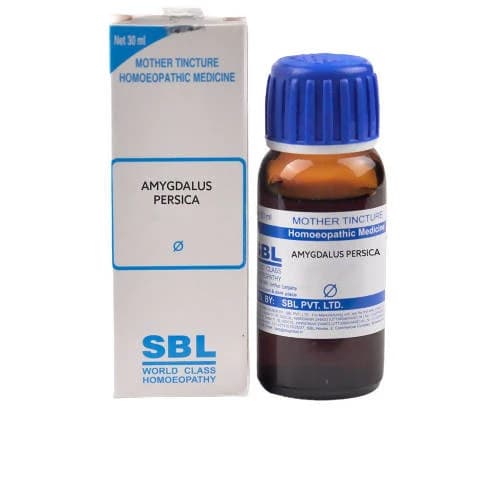 SBL Amygdalus Persica Mother Tincture Q — 30 ml