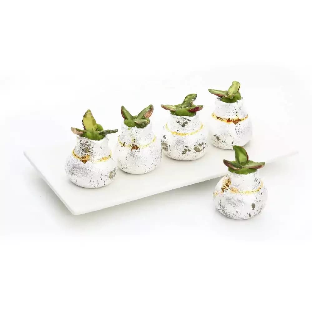 Dadu's Kaju Pista Surai — 500 g
