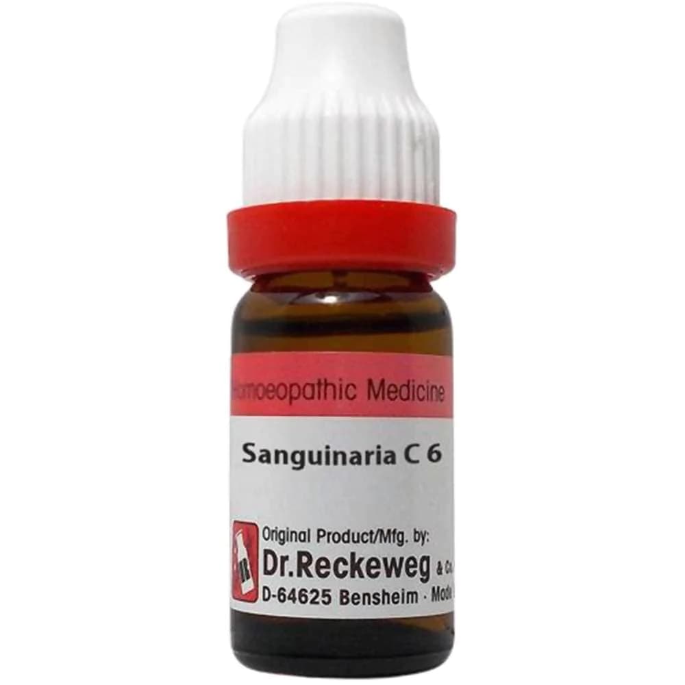 Dr. Reckeweg Sanguinaria Canadensis Dilution — 6 CH / 11 ml