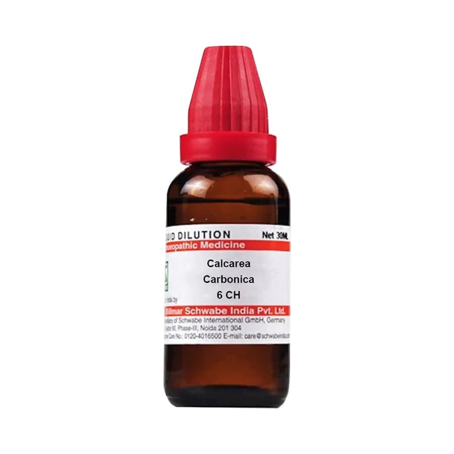 Dr. Willmar Schwabe India Calcarea Carbonica Dilution — 6 CH / 30 ml