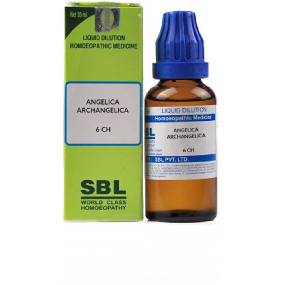 SBL Angelica Archangelica Dilution — 6 CH / 30 ml