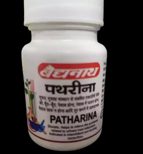 Baidyanath Pathrina Tablets 50 g Main Image