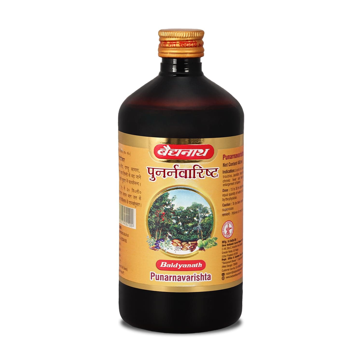 Baidyanath Punarnawarishta — 450 ml