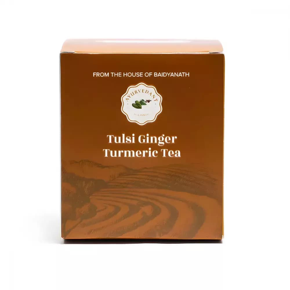 Baidyanath Ayurvedant Tulsi Ginger Turmeric Tea Bags 10 Sachet Main Image