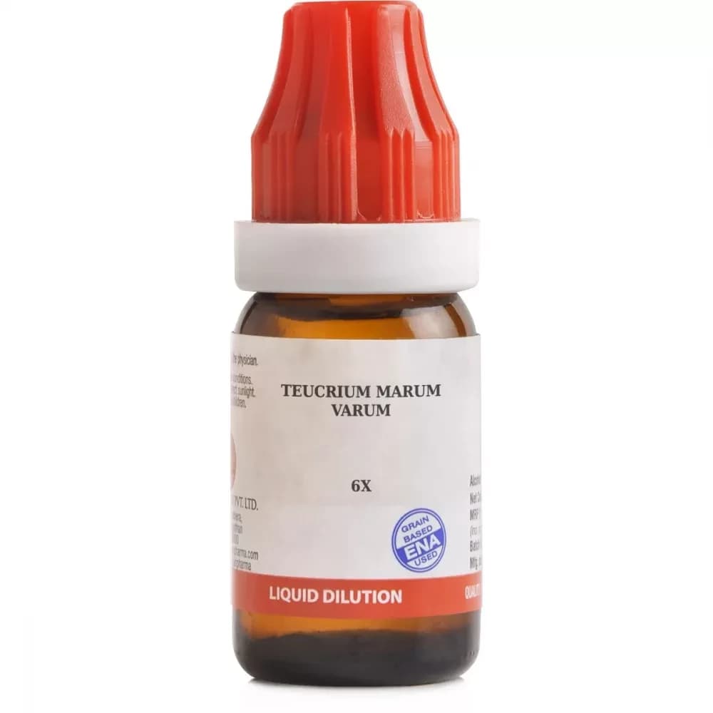 Bjain Teucrium Marum Varum Dilution 10 ml 6X Main Image
