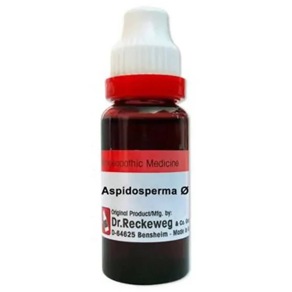 Dr. Reckeweg Aspidosperma Mother Tincture Q 20 ml Main Image