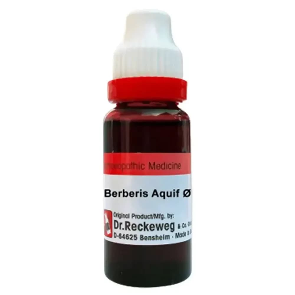 Dr. Reckeweg Berberis Aquif Mother Tincture Q 20 ml Main Image
