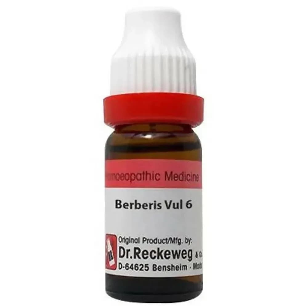 Dr. Reckeweg Berberis Vul Dilution 11 ml 6 CH Main Image