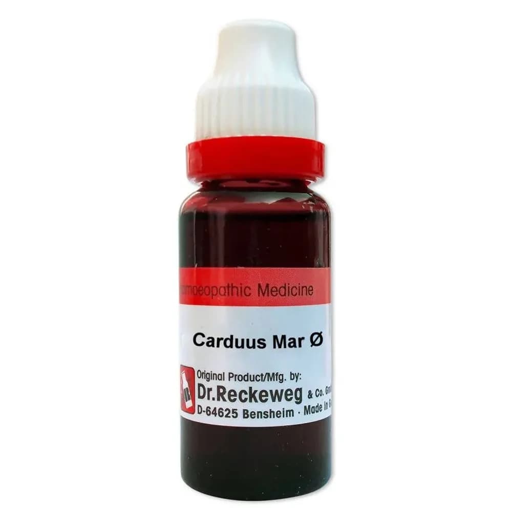 Dr. Reckeweg Carduus Mar Mother Tincture Q 20 ml Main Image