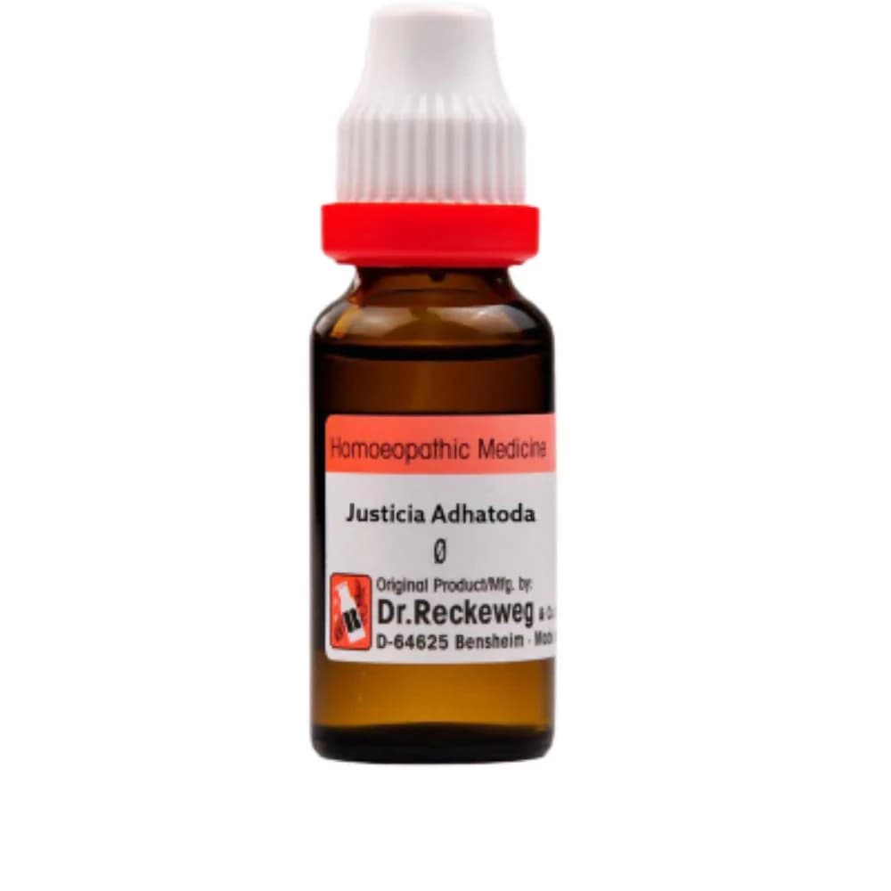 Dr. Reckeweg Justicia Adhatoda Mother Tincture Q 20 ml Main Image