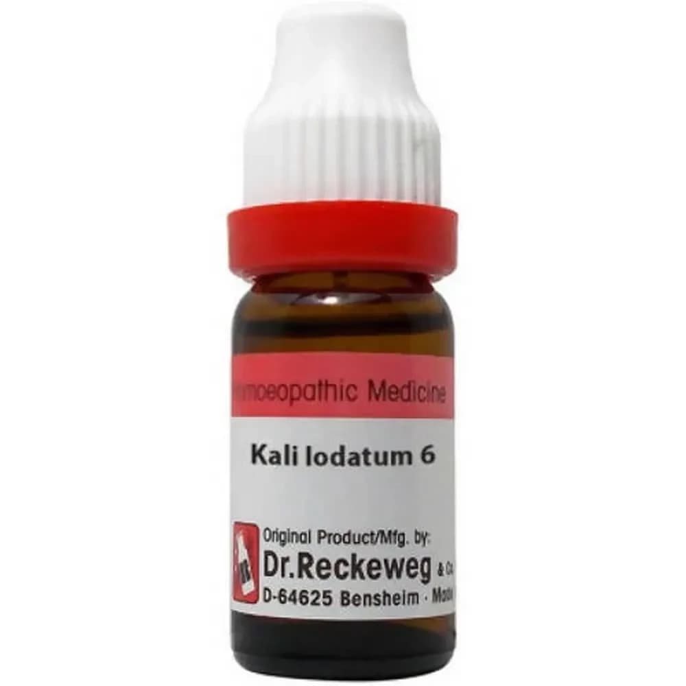 Dr. Reckeweg Kali Iodatum Dilution 11 ml 6 CH Main Image