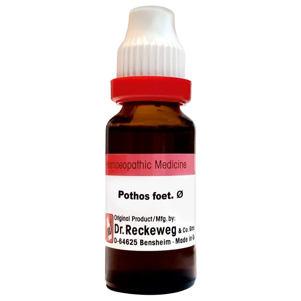 Dr. Reckeweg Pothos Foetida Mother Tincture Q 20 ml Main Image