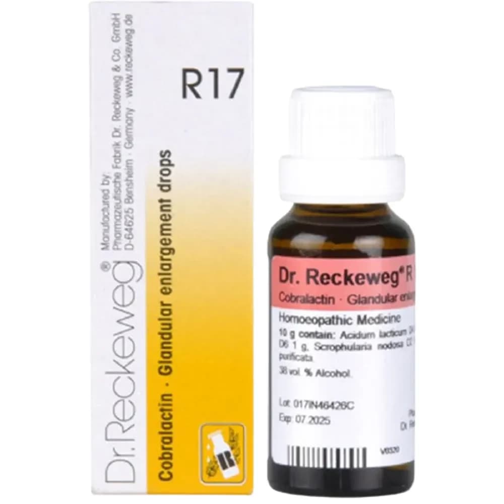 Dr. Reckeweg R17 Glandular Enlargement Drop 22 ml Main Image