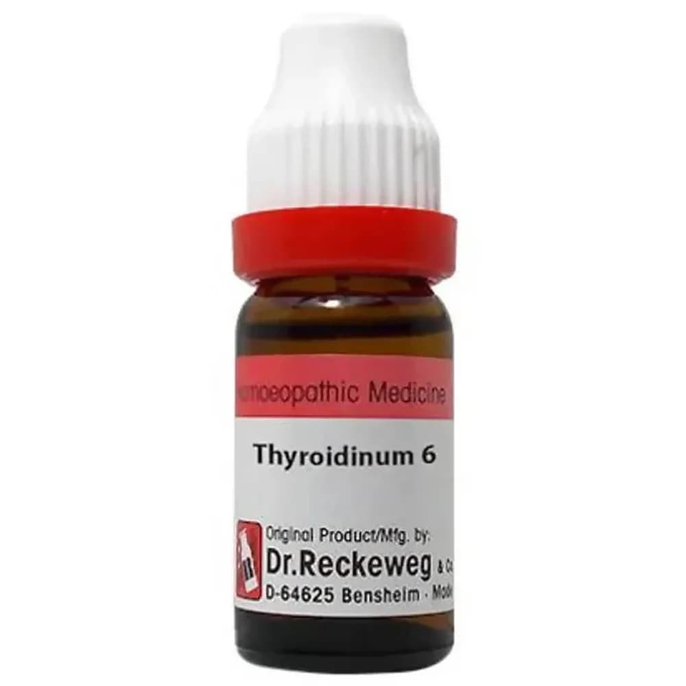 Dr. Reckeweg Thyroidinum Dilution 11 ml 6 CH Main Image