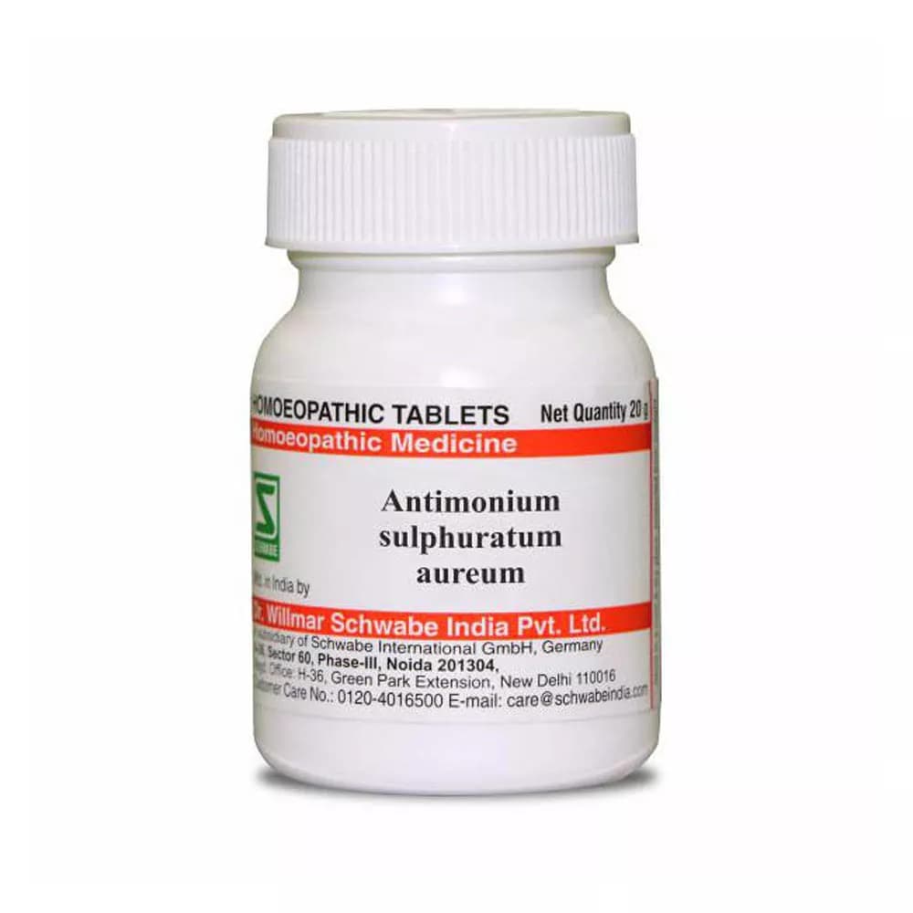 Dr. Willmar Schwabe Antimonium Sulphuratum Aureum Tablet 20 g 6X Main Image
