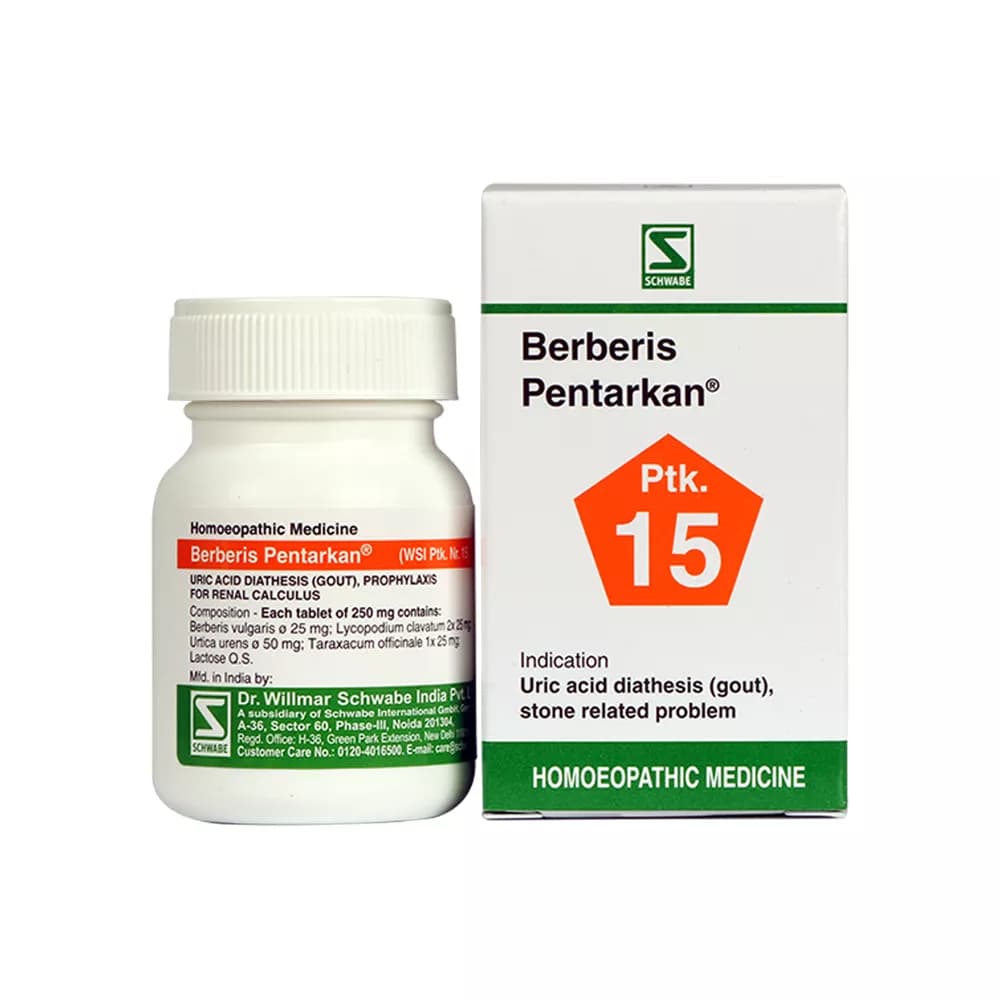 Dr. Willmar Schwabe Berberis Pentarkan tablets 20 g Main Image