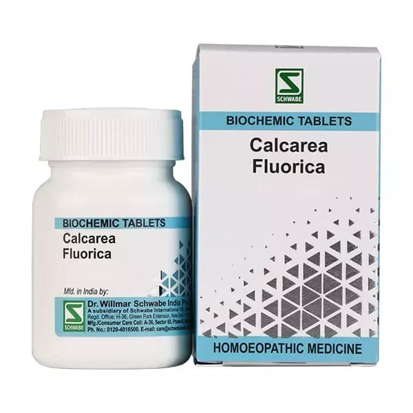 Dr. Willmar Schwabe Calcarea Fluorica Tablet 25 g 6X Main Image