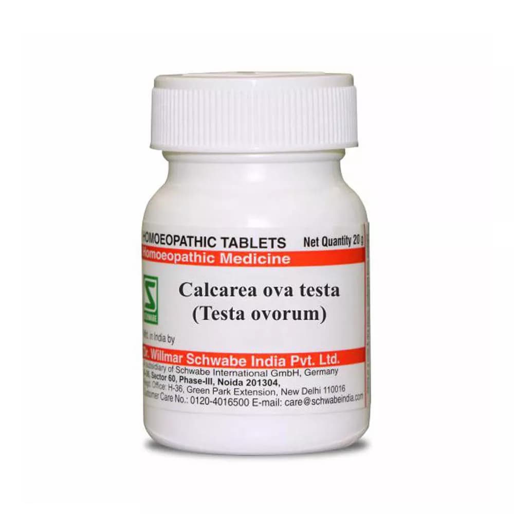 Dr. Willmar Schwabe Calcarea ova testa (Testa ovorum) Tablet 20 g 6X Main Image