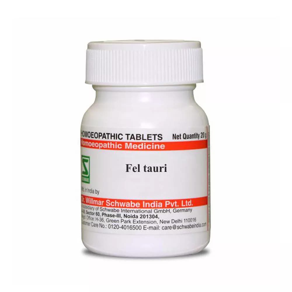 Dr. Willmar Schwabe Fel Tauri Tablet 20 g 6X Main Image