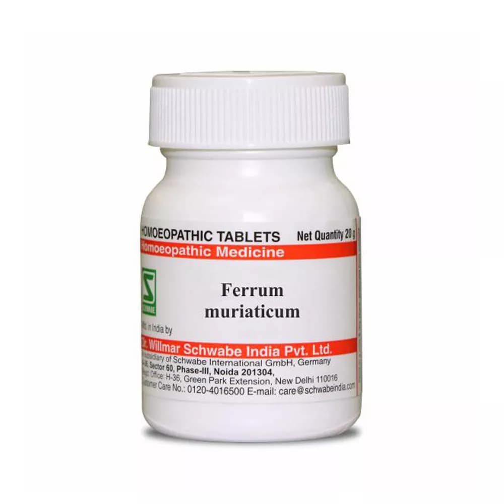 Dr. Willmar Schwabe Ferrum Muriaticum Tablet 20 g 6X Main Image