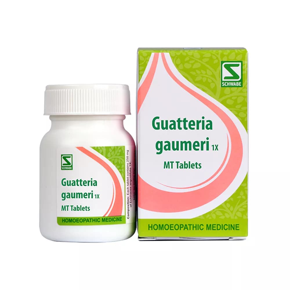 Dr Willmar Schwabe India Guatteria Gaumeri MT Tablet 1X 20 g Main Image