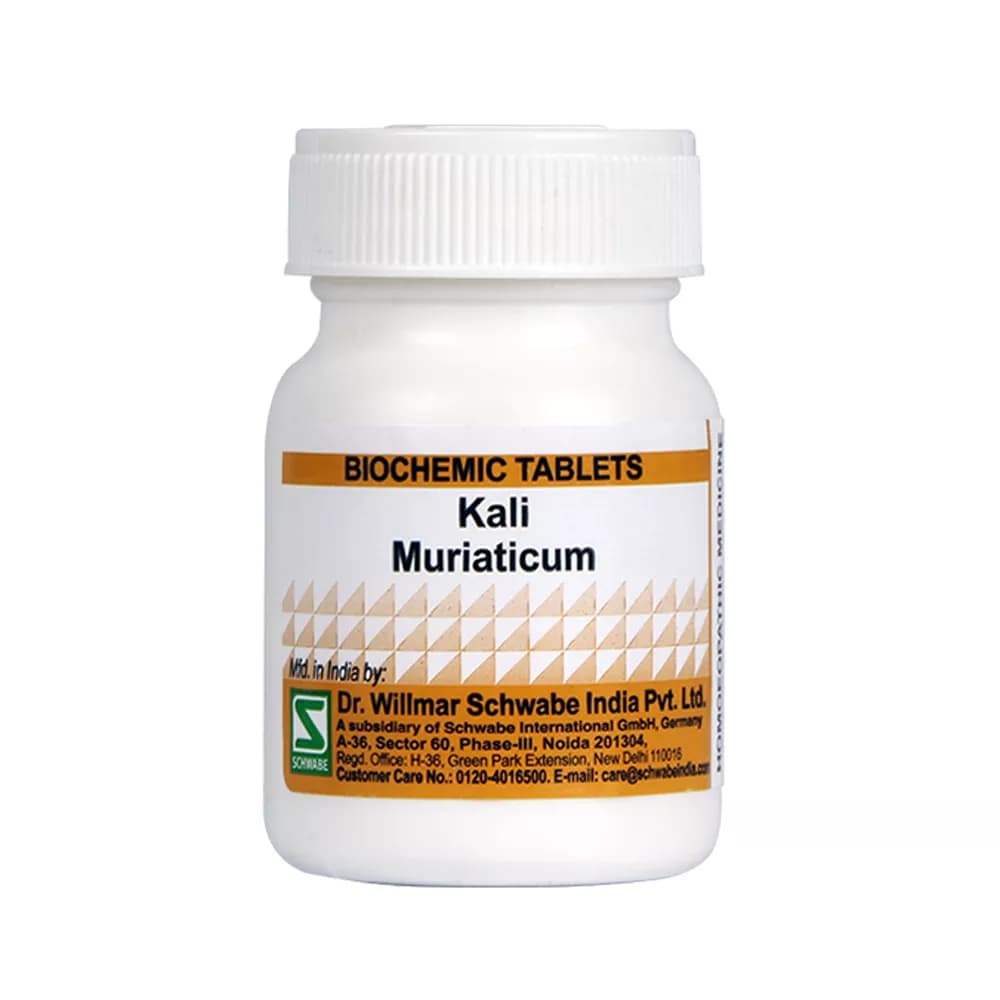 Dr. Willmar Schwabe Kali Muriaticum Tablet 25 g 6X Main Image