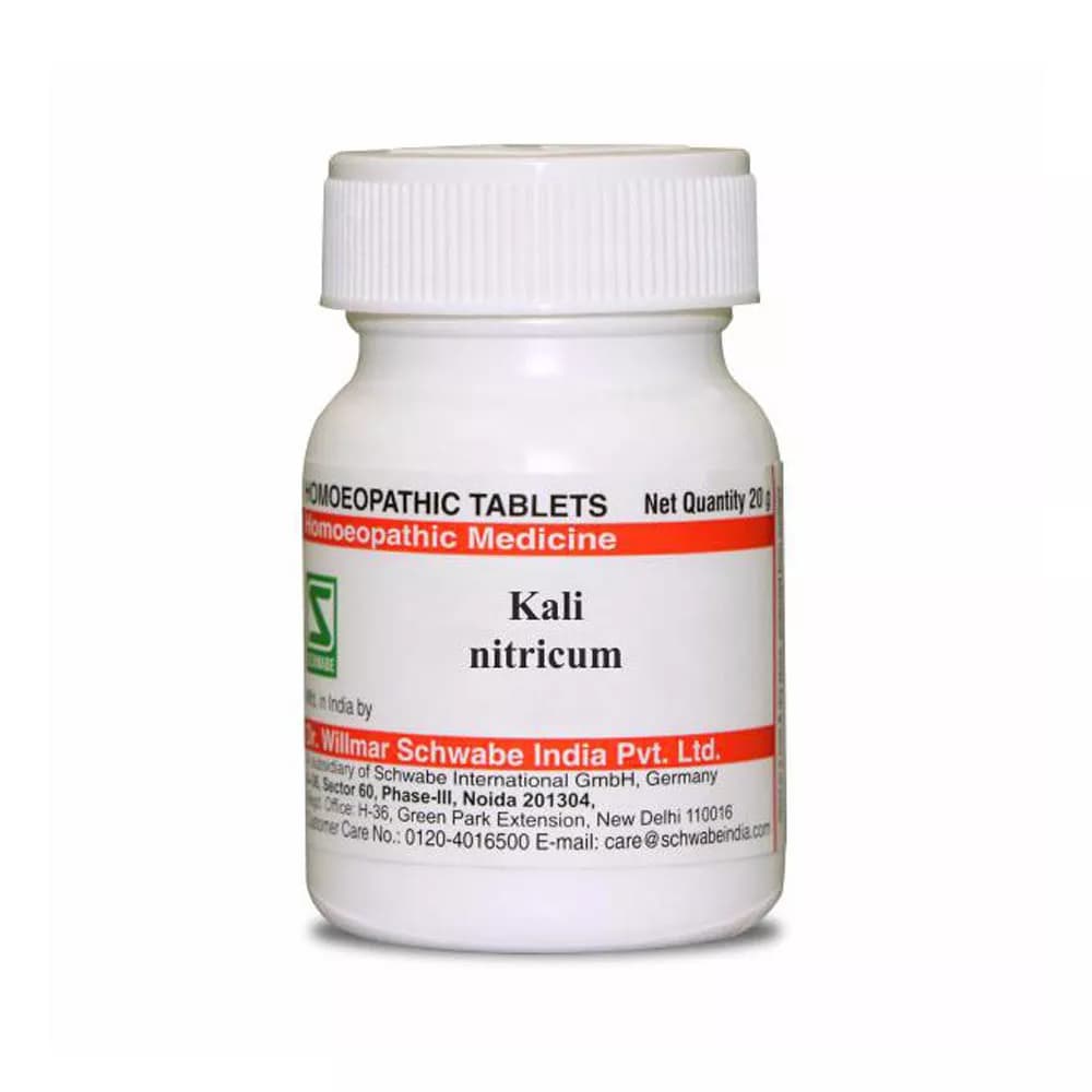 Dr. Willmar Schwabe Kali Nitricum Tablet 20 g 6X Main Image
