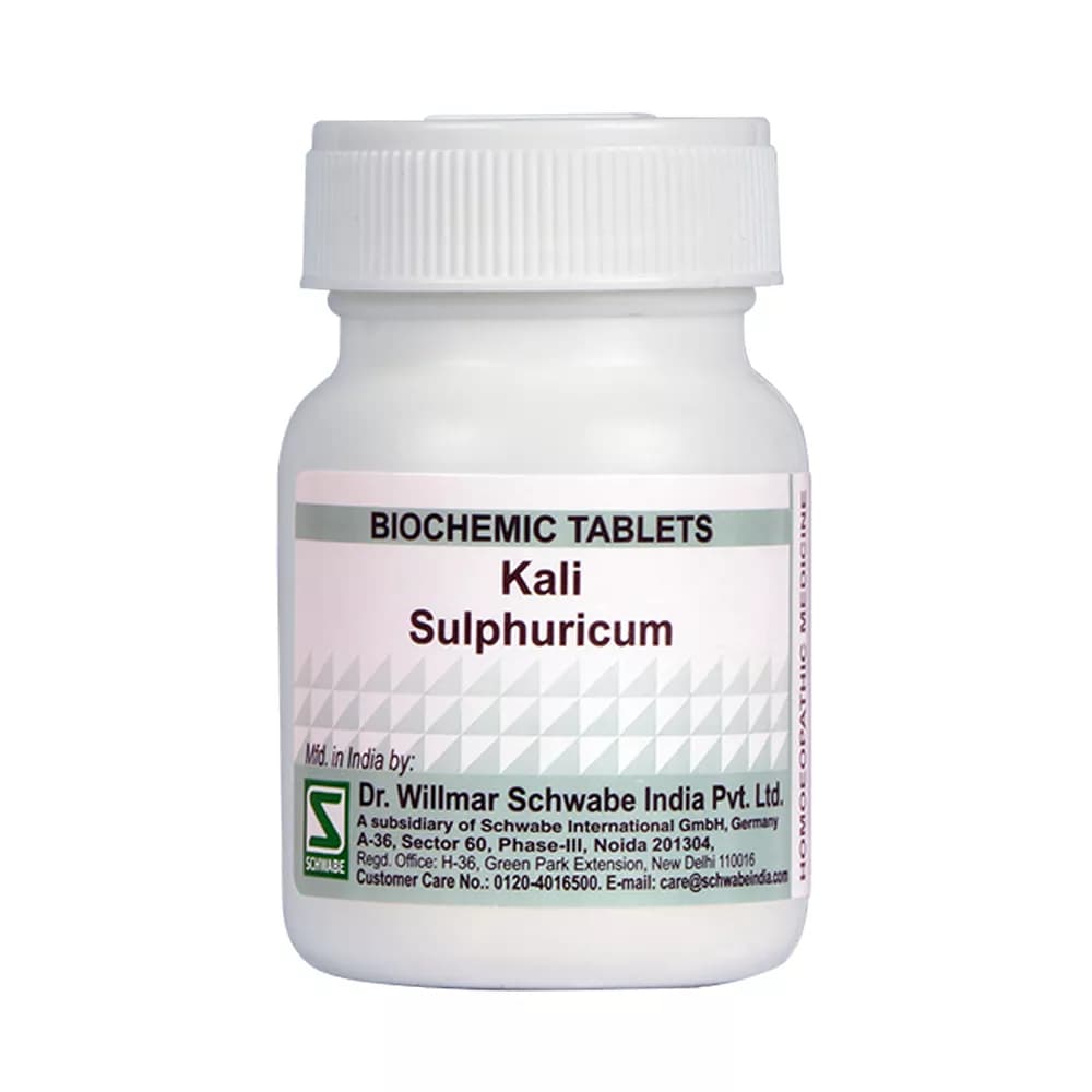 Dr. Willmar Schwabe Kali Sulphuricum Tablet 25 g 6X Main Image
