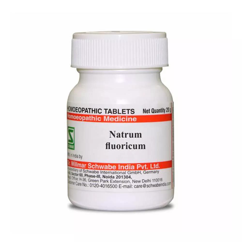 Dr. Willmar Schwabe Natrum Fluoricum Tablet 20 g 6X Main Image
