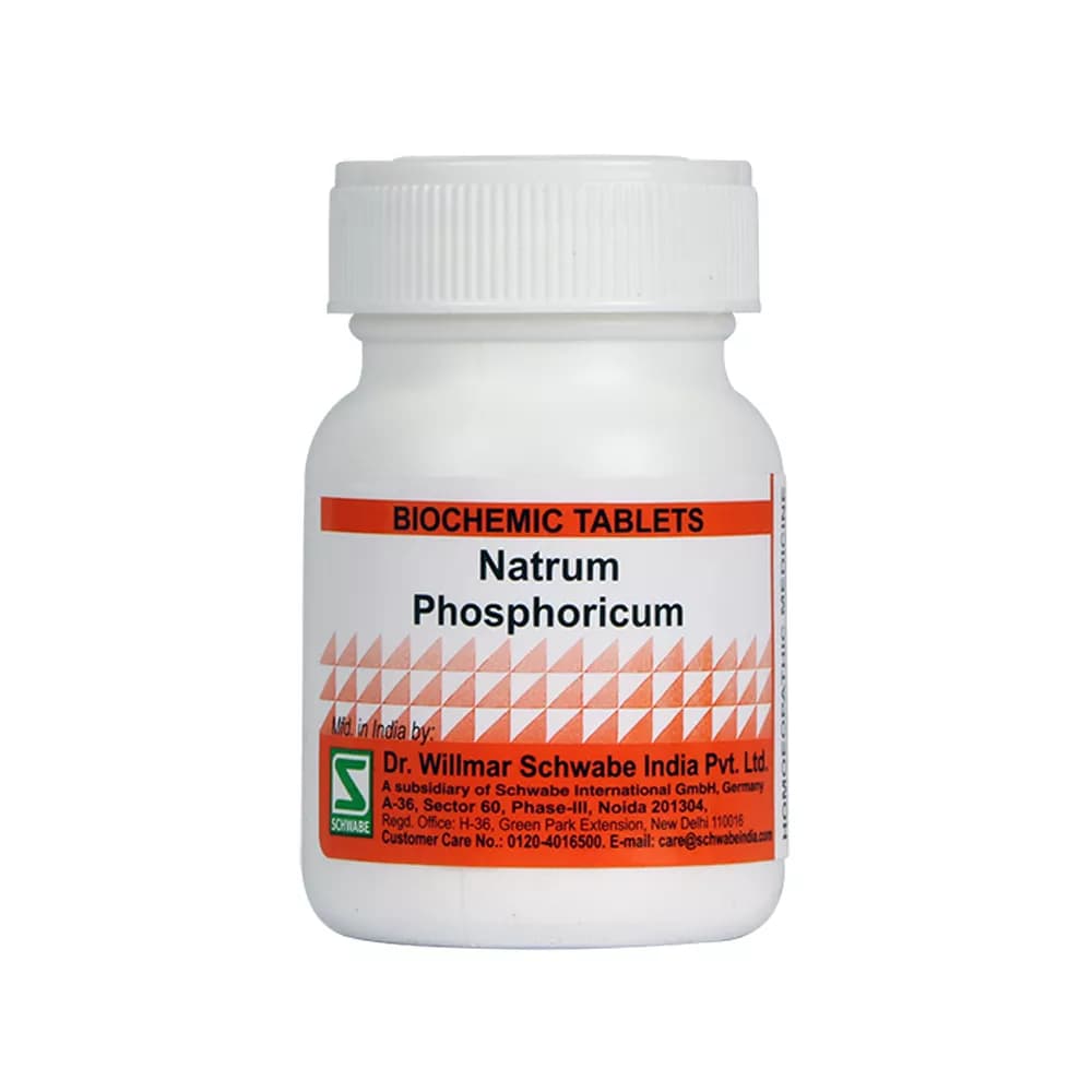 Dr. Willmar Schwabe Natrum Phosphoricum Tablet 25 g 6X Main Image