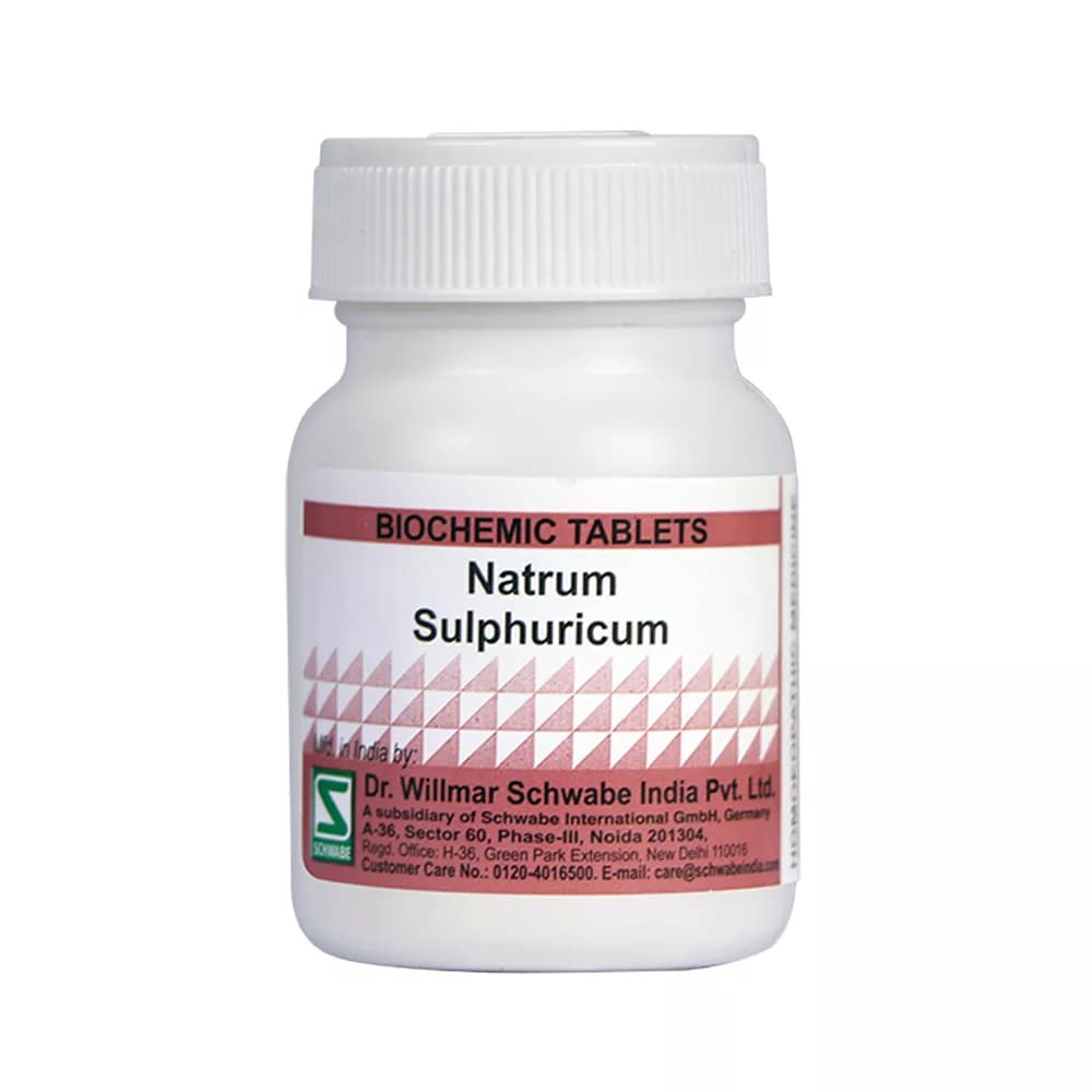 Dr. Willmar Schwabe Natrum Sulphuricum Tablet 25 g 6X Main Image