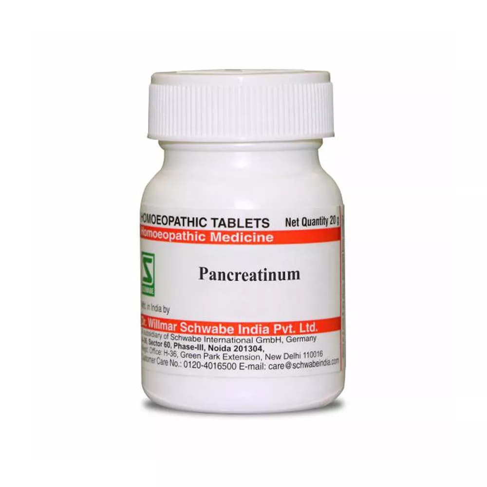 Dr. Willmar Schwabe Pancreatinum Tablet 20 g 6X Main Image