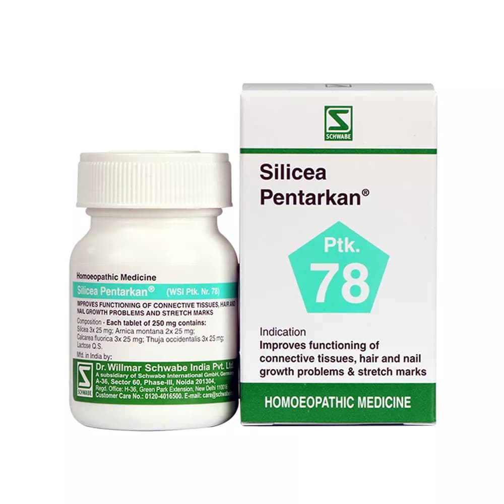 Dr Willmar Schwabe Silicea Pentarkan Tablet 20 g Main Image