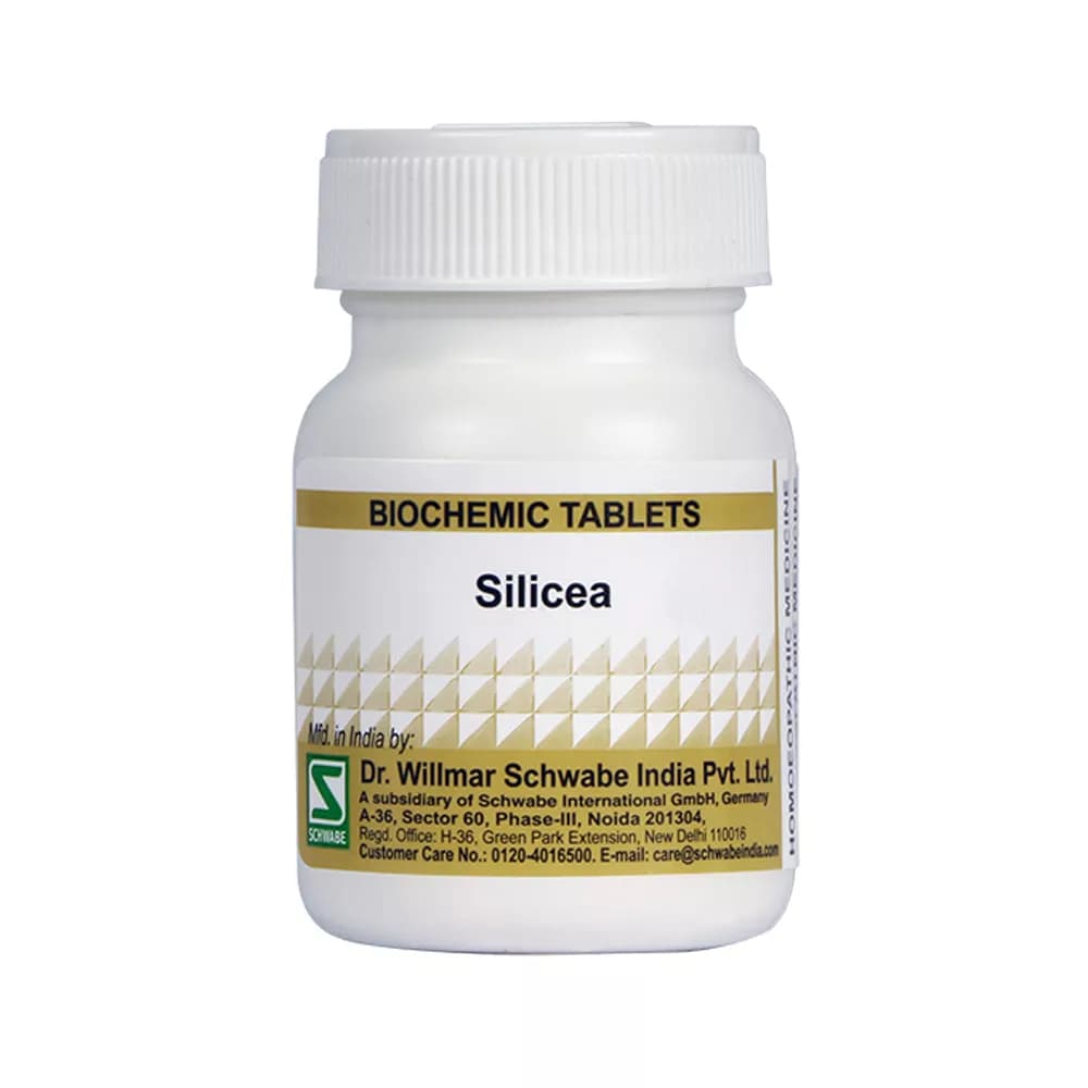 Dr. Willmar Schwabe Silicea Tablet 25 g 6X Main Image